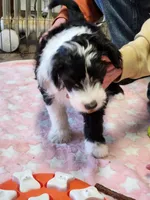 processed/2c36266f-17f9-4dcd-8de8-045b9b3c9e58/listing/052a7911-ae37-4e2d-a491-9ceb867391f6/08971b5e-c1a9-443a-9de1-91cc340cc9a1