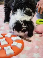 processed/2c36266f-17f9-4dcd-8de8-045b9b3c9e58/listing/052a7911-ae37-4e2d-a491-9ceb867391f6/275310c1-1b93-4a87-9488-a01d653db0b7