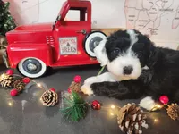 processed/2c36266f-17f9-4dcd-8de8-045b9b3c9e58/listing/052a7911-ae37-4e2d-a491-9ceb867391f6/2b4ccafb-b060-4c2b-bd3c-5cf07de4e8b8