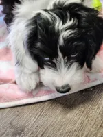 processed/2c36266f-17f9-4dcd-8de8-045b9b3c9e58/listing/052a7911-ae37-4e2d-a491-9ceb867391f6/356d7f4e-8728-4d74-aa03-5c4ae4abb761