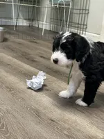 processed/2c36266f-17f9-4dcd-8de8-045b9b3c9e58/listing/052a7911-ae37-4e2d-a491-9ceb867391f6/7e898c3b-fab3-469d-a0dd-a1e7c7b0c528