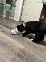 processed/2c36266f-17f9-4dcd-8de8-045b9b3c9e58/listing/052a7911-ae37-4e2d-a491-9ceb867391f6/91da8bc0-e8b6-4f29-a256-dc60b76525e1