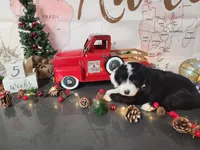 processed/2c36266f-17f9-4dcd-8de8-045b9b3c9e58/listing/052a7911-ae37-4e2d-a491-9ceb867391f6/9f0e56d7-89bd-47b8-b628-ef7477555a30