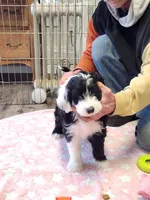 processed/2c36266f-17f9-4dcd-8de8-045b9b3c9e58/listing/052a7911-ae37-4e2d-a491-9ceb867391f6/dde37caa-de3d-45e2-a7b1-06aebe84abd0