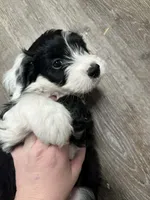 processed/2c36266f-17f9-4dcd-8de8-045b9b3c9e58/listing/052a7911-ae37-4e2d-a491-9ceb867391f6/f4a352fb-724d-40f5-89d0-c71d29195387