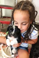 Frenchie Doodle 1, a male French Bulldog and Poodle - Miniature  for sale in Spokane, WA – 2 of 10