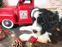 processed/2c36266f-17f9-4dcd-8de8-045b9b3c9e58/listing/4bbee1db-e1f8-438f-82c4-16f6e2c0c449/2d6c9858-ee2c-4d97-87d2-77c248ce96c1