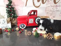 processed/2c36266f-17f9-4dcd-8de8-045b9b3c9e58/listing/4bbee1db-e1f8-438f-82c4-16f6e2c0c449/3d31c654-eab2-482a-ba2d-7498b4c7a482