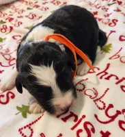 processed/2c36266f-17f9-4dcd-8de8-045b9b3c9e58/listing/4bbee1db-e1f8-438f-82c4-16f6e2c0c449/43947ad4-5b19-4dec-a626-adcfbcd7a2a1