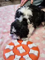 processed/2c36266f-17f9-4dcd-8de8-045b9b3c9e58/listing/4bbee1db-e1f8-438f-82c4-16f6e2c0c449/58971564-bccc-49ec-aa48-5ff8916601b2