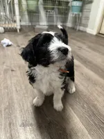 processed/2c36266f-17f9-4dcd-8de8-045b9b3c9e58/listing/4bbee1db-e1f8-438f-82c4-16f6e2c0c449/e15c1d1f-f58d-4278-9a0a-4617047653d0