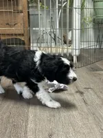 processed/2c36266f-17f9-4dcd-8de8-045b9b3c9e58/listing/4bbee1db-e1f8-438f-82c4-16f6e2c0c449/f0519537-6416-422a-8db4-14eb4ec149cc