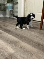 processed/2c36266f-17f9-4dcd-8de8-045b9b3c9e58/listing/4bbee1db-e1f8-438f-82c4-16f6e2c0c449/f65fb60b-b506-48a9-8a06-e3bf185aeb65