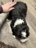 processed/2c36266f-17f9-4dcd-8de8-045b9b3c9e58/listing/e3410206-679f-4c05-a6f1-61e3220ee79a/359bda80-530a-4afb-bd20-ceeaa845baff