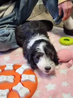 processed/2c36266f-17f9-4dcd-8de8-045b9b3c9e58/listing/e3410206-679f-4c05-a6f1-61e3220ee79a/4fe3b8ea-e382-4fb5-acf5-9dc369bfb063