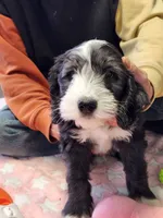 processed/2c36266f-17f9-4dcd-8de8-045b9b3c9e58/listing/e3410206-679f-4c05-a6f1-61e3220ee79a/60b70f5d-7f86-4737-b768-f6307a548100