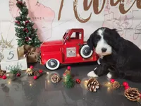 processed/2c36266f-17f9-4dcd-8de8-045b9b3c9e58/listing/e3410206-679f-4c05-a6f1-61e3220ee79a/ba0f050b-c0c3-4ff4-856c-3ed25331cdf3