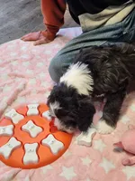 processed/2c36266f-17f9-4dcd-8de8-045b9b3c9e58/listing/e3410206-679f-4c05-a6f1-61e3220ee79a/c00b7023-f4a9-43f8-b5cd-71099f1344f7