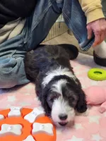 processed/2c36266f-17f9-4dcd-8de8-045b9b3c9e58/listing/e3410206-679f-4c05-a6f1-61e3220ee79a/dc8d697b-61f2-47bf-b24a-a741a9ae488a