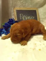 processed/2c36d03b-d738-46b5-912e-d69fbf7029e1/listing/21acb316-8926-4782-b786-1530c4b1b112/54852826-a0c0-46db-b11d-24c3e76866a4