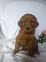 processed/2c36d03b-d738-46b5-912e-d69fbf7029e1/listing/21acb316-8926-4782-b786-1530c4b1b112/60e1fe36-cdb3-4b48-938b-45e096f2abbb