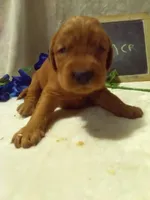 processed/2c36d03b-d738-46b5-912e-d69fbf7029e1/listing/21acb316-8926-4782-b786-1530c4b1b112/63e397ff-8644-46ea-89db-6c8900a2b33f