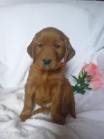 processed/2c36d03b-d738-46b5-912e-d69fbf7029e1/listing/21acb316-8926-4782-b786-1530c4b1b112/de17738b-fa50-4a16-93c6-d2bb30383dbc