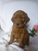 processed/2c36d03b-d738-46b5-912e-d69fbf7029e1/listing/21acb316-8926-4782-b786-1530c4b1b112/e5ecd8d0-2352-4bf6-bbbf-79ac7af83dfa