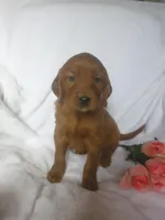 processed/2c36d03b-d738-46b5-912e-d69fbf7029e1/listing/67c47e98-6918-4054-b0cb-09290c9440ed/163908bd-912b-441f-932b-6b6c67a9363d