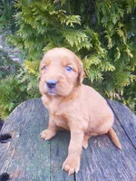 processed/2c36d03b-d738-46b5-912e-d69fbf7029e1/listing/67c47e98-6918-4054-b0cb-09290c9440ed/28f78080-9e61-48d9-b709-43561496e073