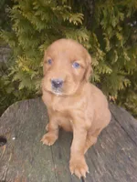 processed/2c36d03b-d738-46b5-912e-d69fbf7029e1/listing/67c47e98-6918-4054-b0cb-09290c9440ed/7bc61fc8-18b7-470e-af1c-5aabdf0451b4