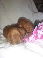 processed/2c36d03b-d738-46b5-912e-d69fbf7029e1/listing/67c47e98-6918-4054-b0cb-09290c9440ed/826ddd6f-faad-4eba-b475-862c830aceaa