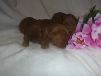 processed/2c36d03b-d738-46b5-912e-d69fbf7029e1/listing/67c47e98-6918-4054-b0cb-09290c9440ed/9e2d16b8-8b25-4589-8fd8-cd4602a80ce6