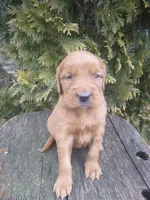 processed/2c36d03b-d738-46b5-912e-d69fbf7029e1/listing/67c47e98-6918-4054-b0cb-09290c9440ed/a03fec25-bfd3-45e1-8d6f-8cfeb1996fa4