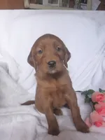 processed/2c36d03b-d738-46b5-912e-d69fbf7029e1/listing/67c47e98-6918-4054-b0cb-09290c9440ed/e1804743-f7ea-4466-b150-076e89a322cd