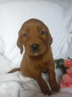 processed/2c36d03b-d738-46b5-912e-d69fbf7029e1/listing/67c47e98-6918-4054-b0cb-09290c9440ed/f40139f8-28e9-4b18-8ae2-9d4f1194f8d2