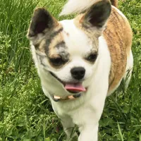 processed/2c37c2f7-b666-4f3d-88fe-fa320c7587b2/facility/053dca41-ed7d-46e3-9a0a-016e87c27caa