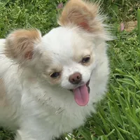 processed/2c37c2f7-b666-4f3d-88fe-fa320c7587b2/facility/082e36cf-017e-442e-92c6-7853de107e29