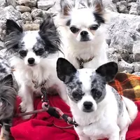 processed/2c37c2f7-b666-4f3d-88fe-fa320c7587b2/facility/0fe66ebb-a209-4b9d-88ec-ff1166887bc0