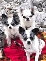 processed/2c37c2f7-b666-4f3d-88fe-fa320c7587b2/facility/0fe66ebb-a209-4b9d-88ec-ff1166887bc0