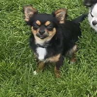 processed/2c37c2f7-b666-4f3d-88fe-fa320c7587b2/facility/5c4f1bfa-6548-4036-af20-d8ebbca3709b