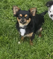 processed/2c37c2f7-b666-4f3d-88fe-fa320c7587b2/facility/5c4f1bfa-6548-4036-af20-d8ebbca3709b