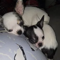 processed/2c37c2f7-b666-4f3d-88fe-fa320c7587b2/facility/64b152e1-8076-47dc-8db5-305aded7fee9