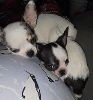 processed/2c37c2f7-b666-4f3d-88fe-fa320c7587b2/facility/64b152e1-8076-47dc-8db5-305aded7fee9