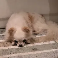 processed/2c37c2f7-b666-4f3d-88fe-fa320c7587b2/facility/8e036dfc-14e5-4278-a9bc-6ef2fcb50a5a