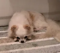 processed/2c37c2f7-b666-4f3d-88fe-fa320c7587b2/facility/8e036dfc-14e5-4278-a9bc-6ef2fcb50a5a