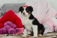 processed/2c395ba8-8410-47d9-a5b1-5deedf5b42b1/listing/09385e72-c772-4194-a7d0-34ffd2e19b41/19f7055d-ad1a-420f-96f5-0da259633547