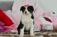 processed/2c395ba8-8410-47d9-a5b1-5deedf5b42b1/listing/09385e72-c772-4194-a7d0-34ffd2e19b41/26ddc112-eeab-4b6f-ad4e-6b85ebb46357