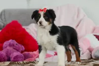 processed/2c395ba8-8410-47d9-a5b1-5deedf5b42b1/listing/09385e72-c772-4194-a7d0-34ffd2e19b41/bd0854d2-d7c4-47ba-9694-059c1a0ad54a