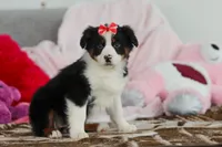 processed/2c395ba8-8410-47d9-a5b1-5deedf5b42b1/listing/09385e72-c772-4194-a7d0-34ffd2e19b41/e6233663-8cec-4718-a24a-6b29dc8aee2e